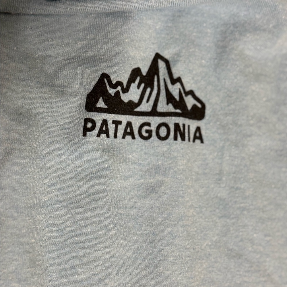 Patagonia Fitz Roy Scope Responsibili-Tee Long Sleeve T-Shirt - Picture 4 of 8